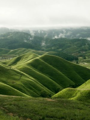 Landscape Photography Landscape Photography