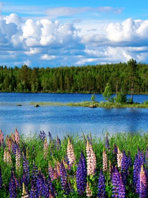 Landscape Photography Landscape Photography